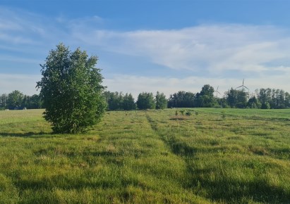 działka na sprzedaż - Płońsk (gw), Poczernin